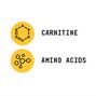 Chemistry Labs&trade; L-Carnitine&nbsp;&#40;30 Servings&#41;  | GNC